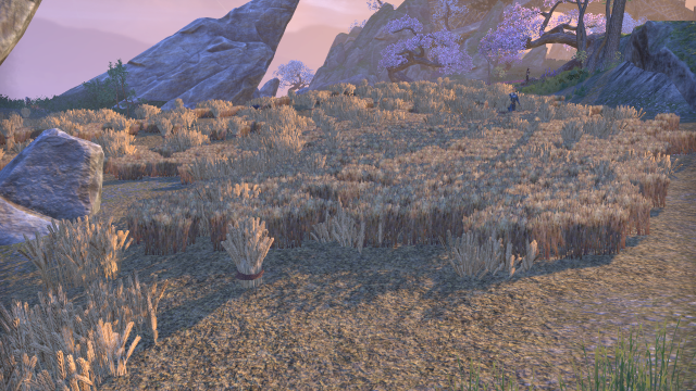 Wheat Field on Artaeum